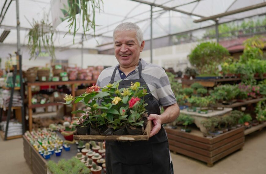 One,Happy,Older,Male,Employee,Carrying,Flowers,Inside,Plant,Store.