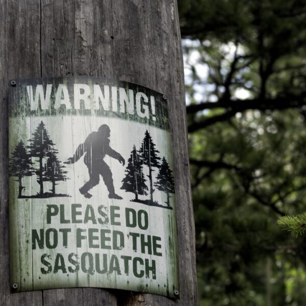 15 States Where Your Chances of Seeing Bigfoot Are High