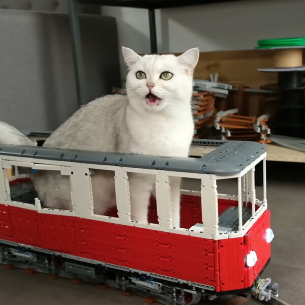 Man Builds Oversized LEGO Train To Carry His Cats Around The House