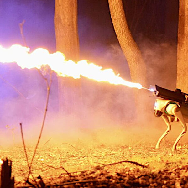 Thermonator Robotic Dog Has An Integrated Flamethrower